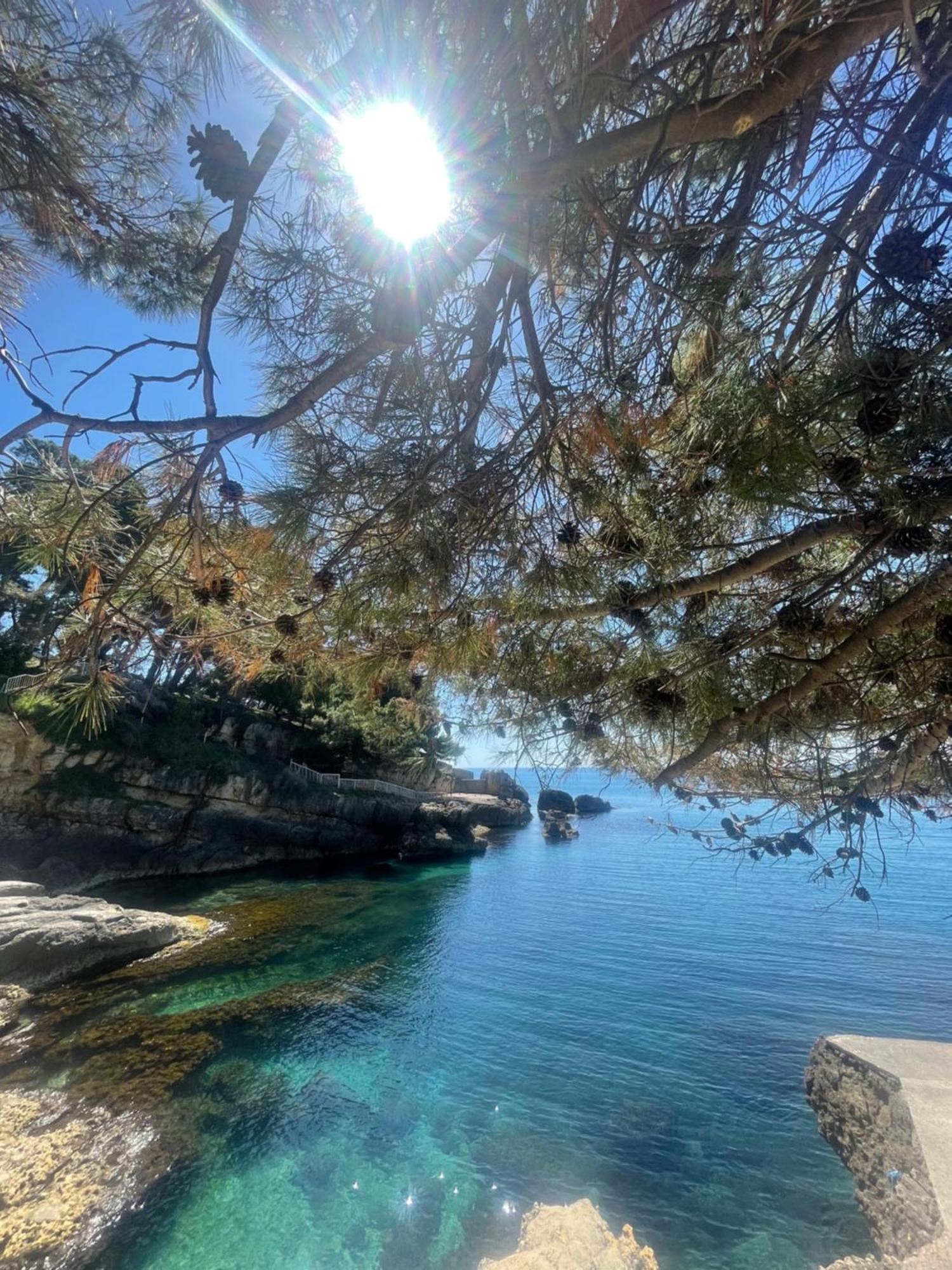 Corpus A - Hotel Albatros Ούλτσιν Εξωτερικό φωτογραφία